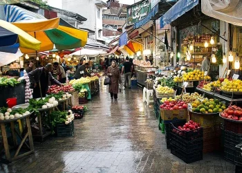 هم‌افزایی فقه اسلامی در ساختن جامعه‌ای پایدار